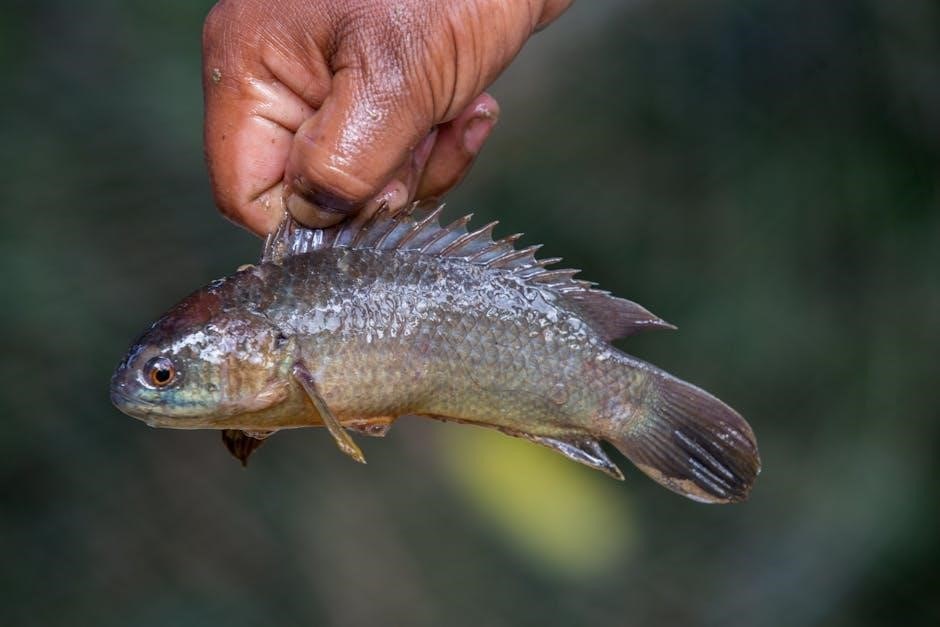 wow sod fishing guide
