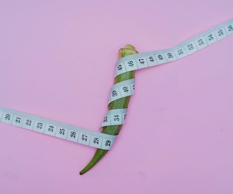an fitting size chart pdf