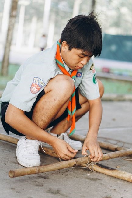 webelos book pdf